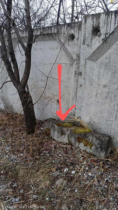 photo 56 2025 11 17 12 16 25