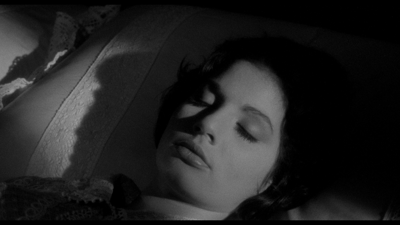 vlcsnap-2022-12-11-12h08m26s296