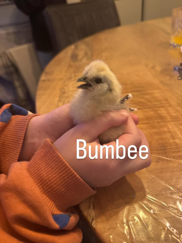 e84519a4 724f 47dc ab45 296e9c9aa174