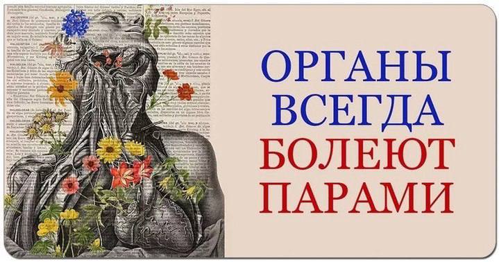 [Изображение: photo-2026-01-27-20-49-08.jpg]