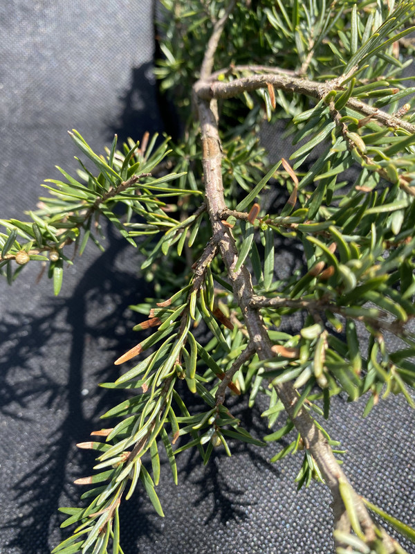 B2A6934B-0B76-4BD0-865D-35D5CAF2C545