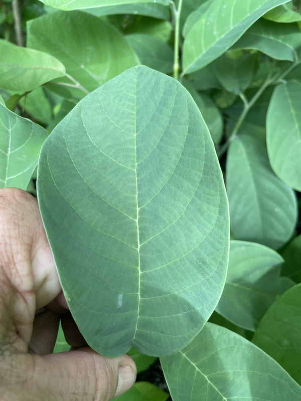 22D02C59-64D4-4FCD-9B36-E023952C73C7