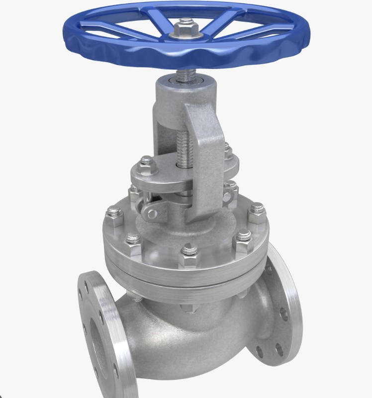 Globe Valve