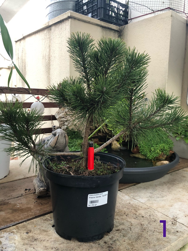 8B163BA4-4A7C-4714-9924-AD878A6E6390