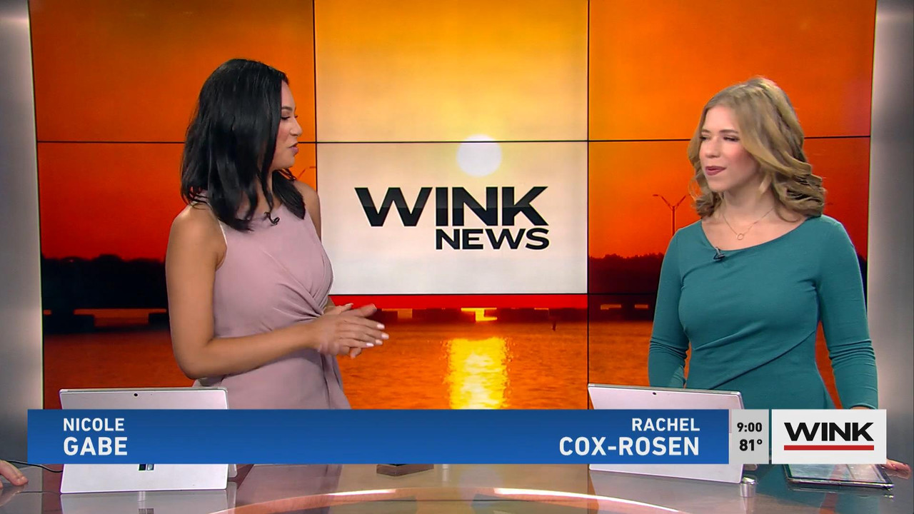 07.25 - 14.00.00 - WINK News at 9 00 a.m. Sunday. News.ts_snapshot_00.19_[2021.07.25_15.58.08]