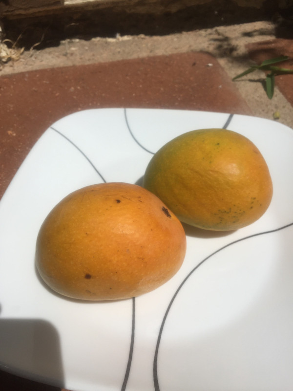 D52278F6-84D7-48C0-9BF8-04939E92BFC1