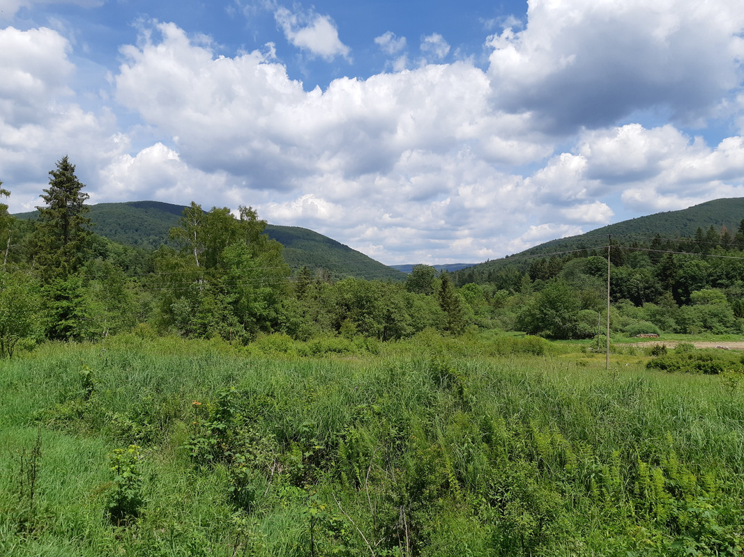 02.07a - 20220616_123854 (PiTT)