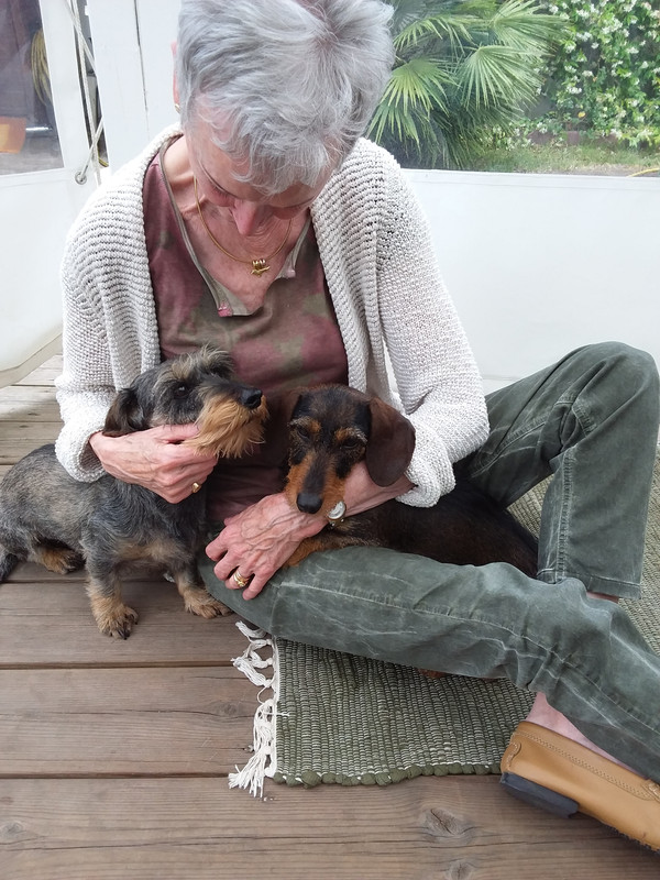 [Image: 20200604-171636.jpg]