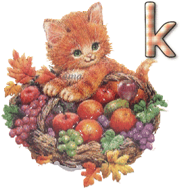 El Gatito y las Frutas  K