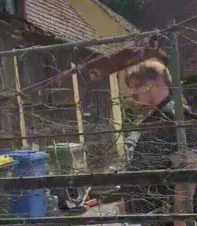 undefined-Imgur.gif