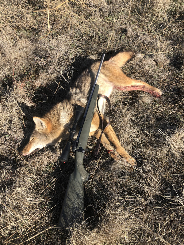 26D9B67E-C680-4EEC-9E79-27382F7CEB02