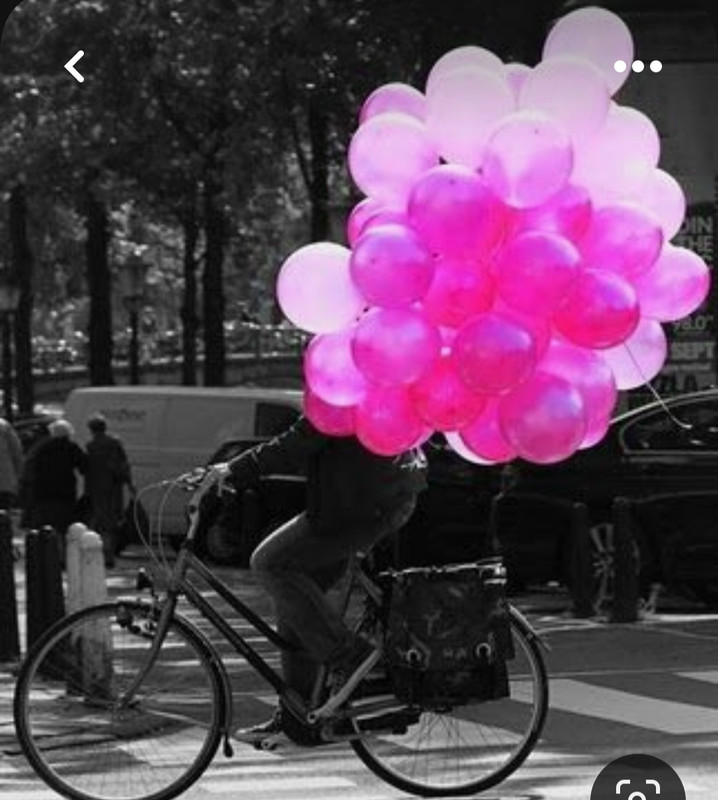 Screenshot_20230724_215602_Pinterest