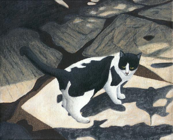 24-cat-on-rock-patio-carol-wilson-003