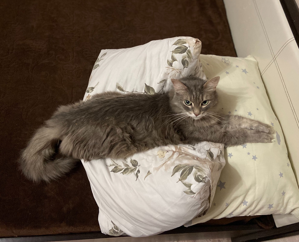 D5A576DD-EDBF-453F-9BC2-9ABF4CE7F134