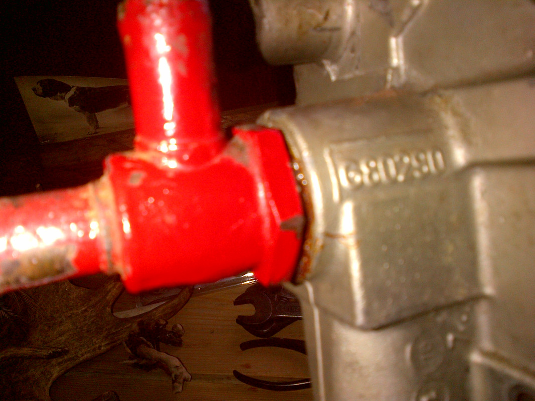 IMG-20190425-04639