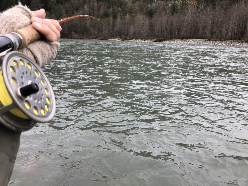 50596F24-F3E3-4113-9413-9940455B148F_1_105_c