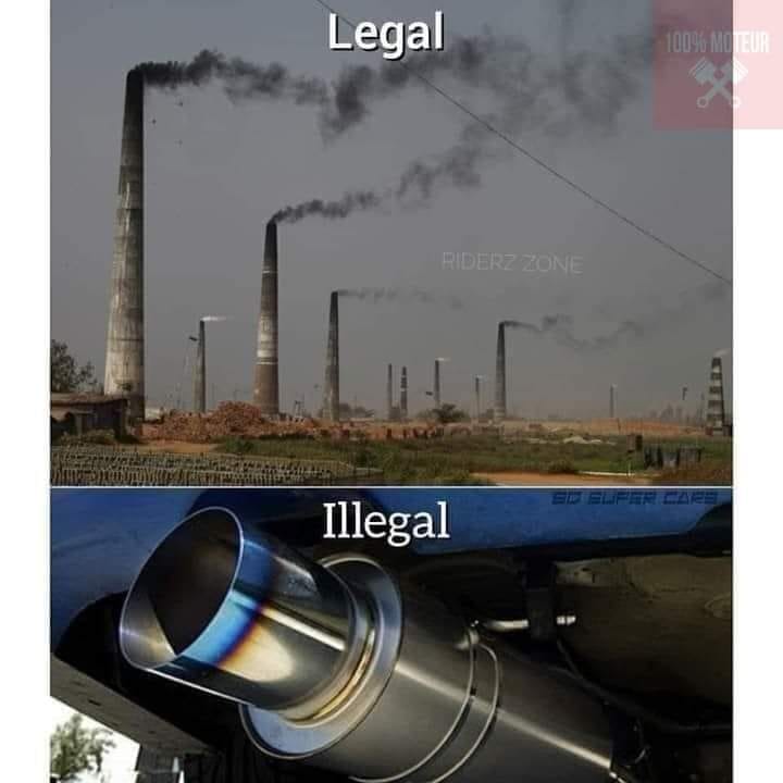 27406010.jpg