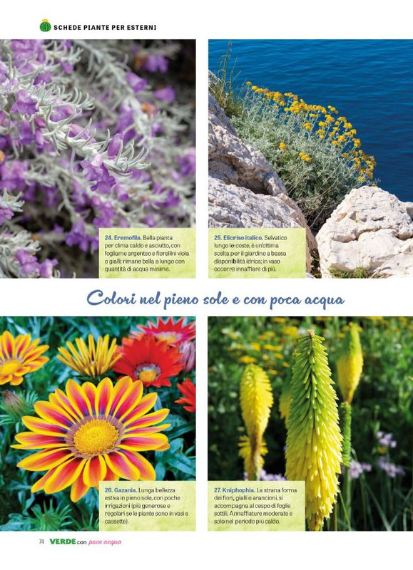 Pol Ver Spec Giu-Lug 2024 (11)