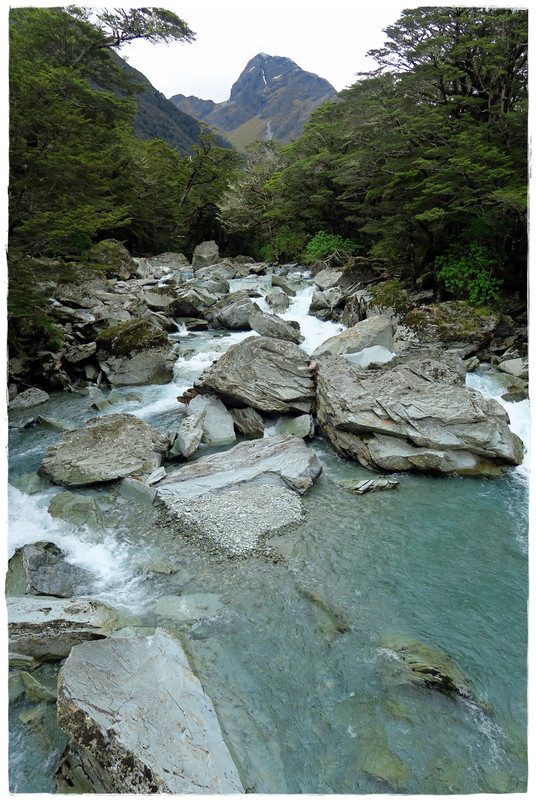 Mt Aspiring NP / Fiordland NP: Routeburn Track (diciembre 2019) - Escapadas y rutas por la Nueva Zelanda menos conocida (7)