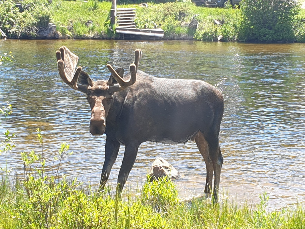 20190703_144414