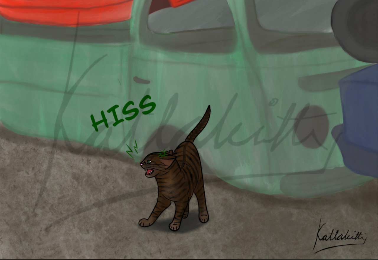 Screenshot-20251128-193726-Tumblr