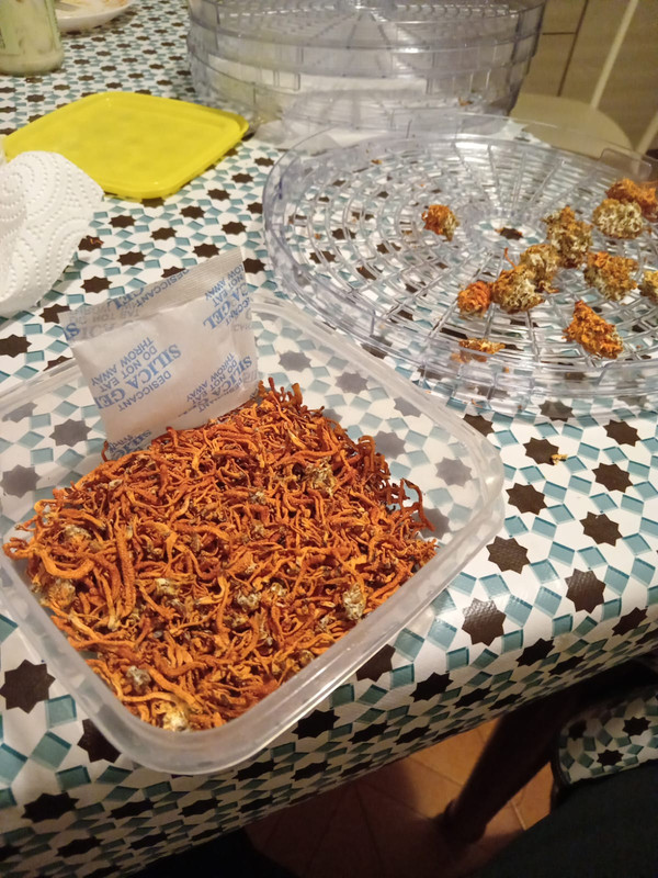 cd9c503e-2622-496a-b32e-31d513d4250b