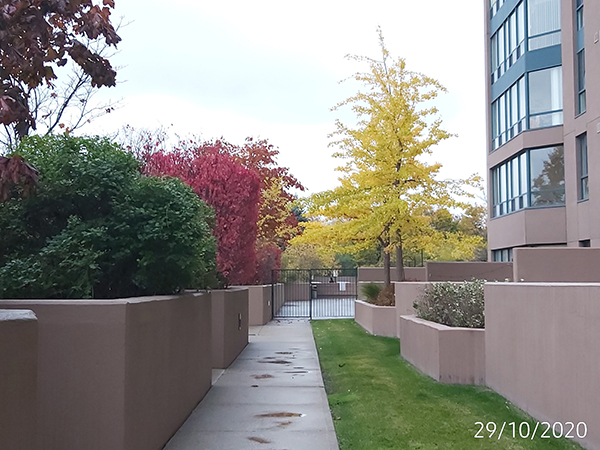 [Image: IMG-20201029-174005.jpg]