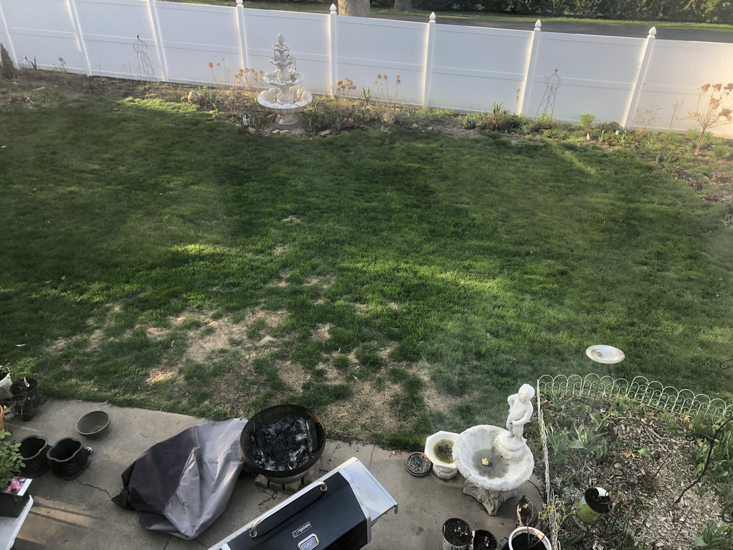 0B81BA04-C44D-407A-B890-3AA153DC40C5