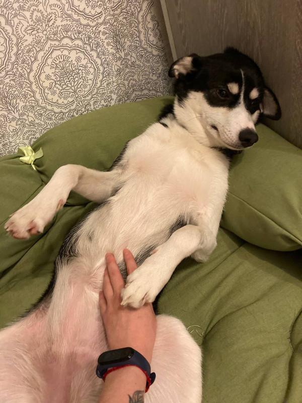 A497640A-8394-4D9F-A925-259C94C51BB4