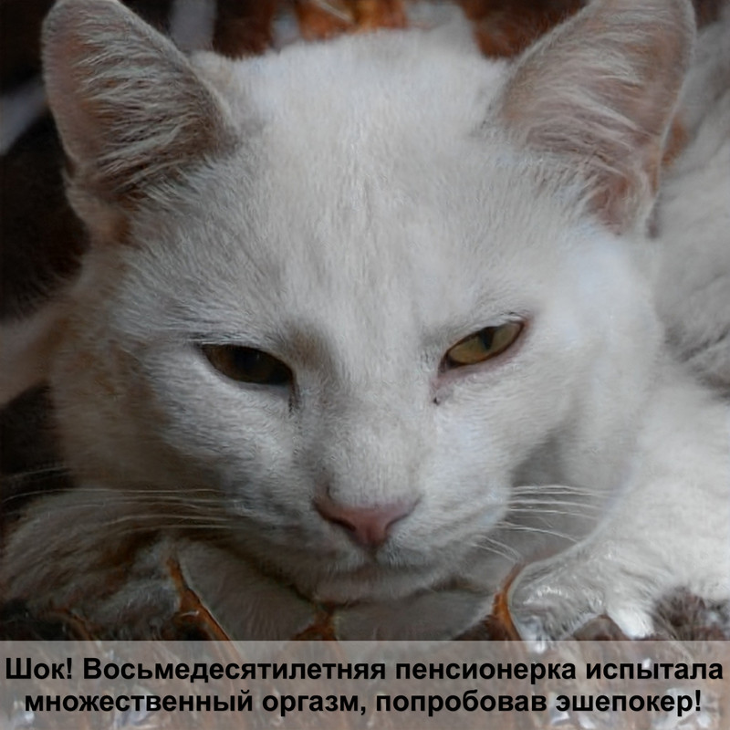 кукурузный наполнитель для кошек