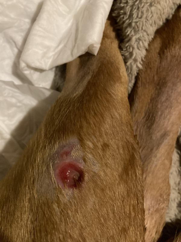 8EB35FD3-AD06-4CE2-BB4A-88DB3D5C4E7E