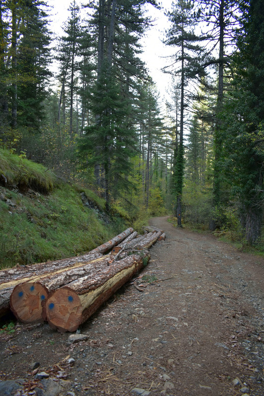 Βάλια Κάλντα (6)