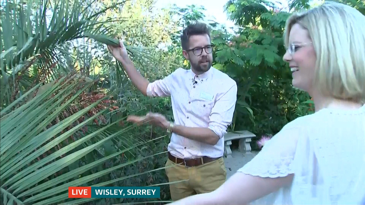 ITV News London_20220810_18001830.ts_snapshot_22.40.899