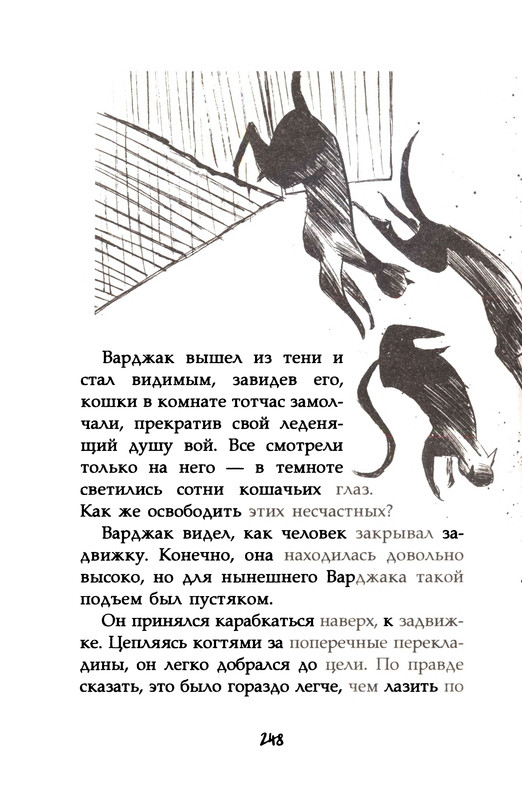 p0250