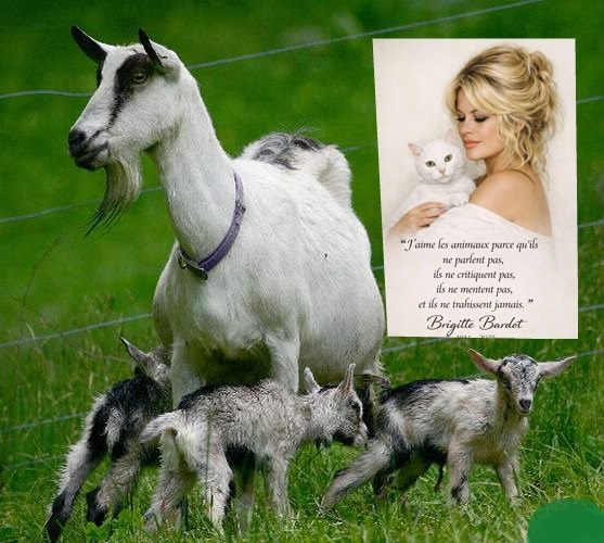 pixiz 03 01 2026 18 18 06