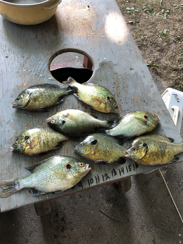 C9D4001A-5816-4C97-8740-F8ADF9E351D3