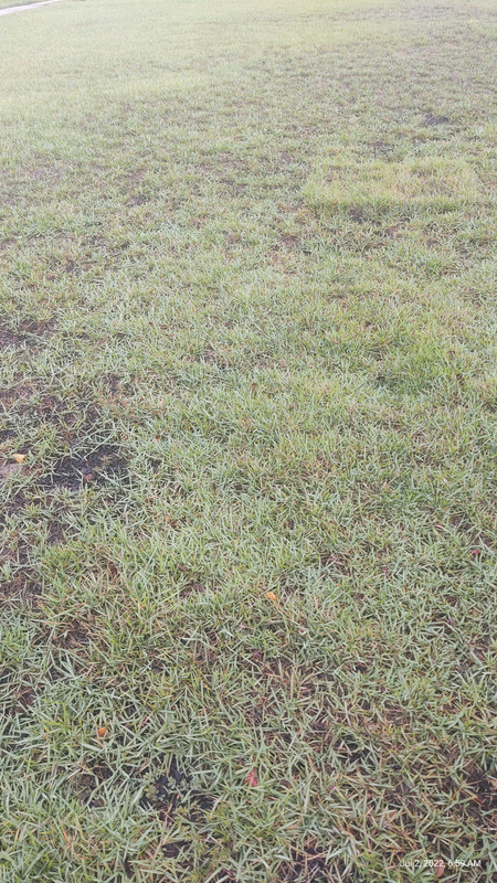 IMG_20220702_065912151