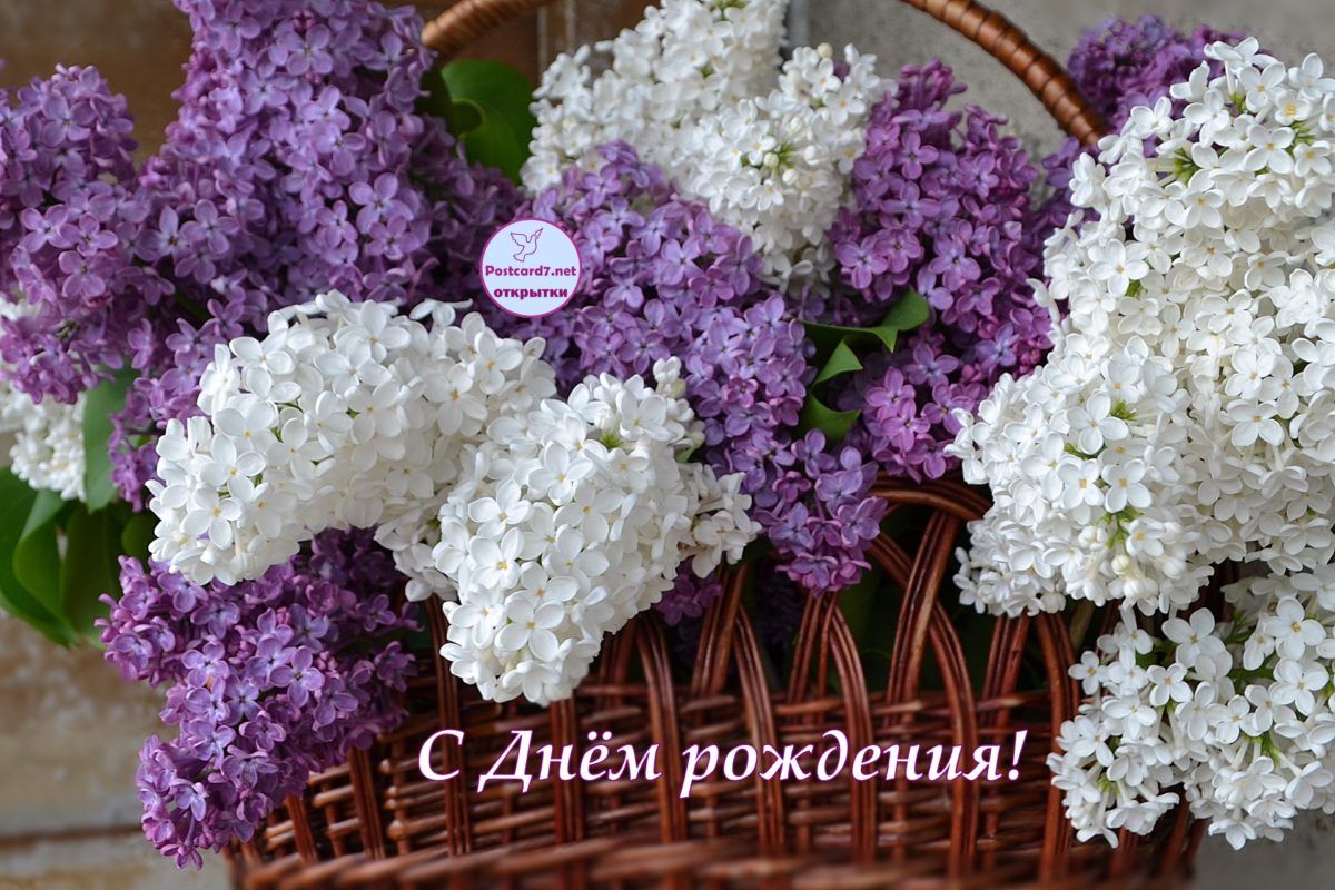 https://i.postimg.cc/FsRyCzsx/876918b7e0317d5ea1b0e2925f6e5947.jpg