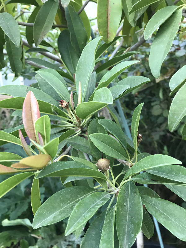 E2E211B8-BC9F-413C-B611-B9E5A2286D6E