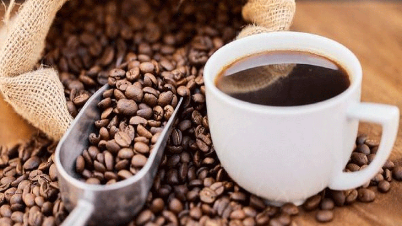 Kopi Indonesia Hasil Bumi Nusantara