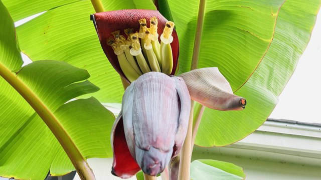 6FB49F01-D17A-490E-9C39-AD0B624925AD