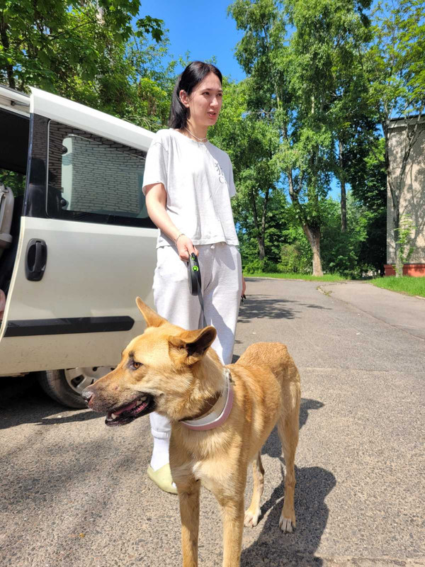 IMG-c2821b63c95993ecba3aed56e6e784fa-V