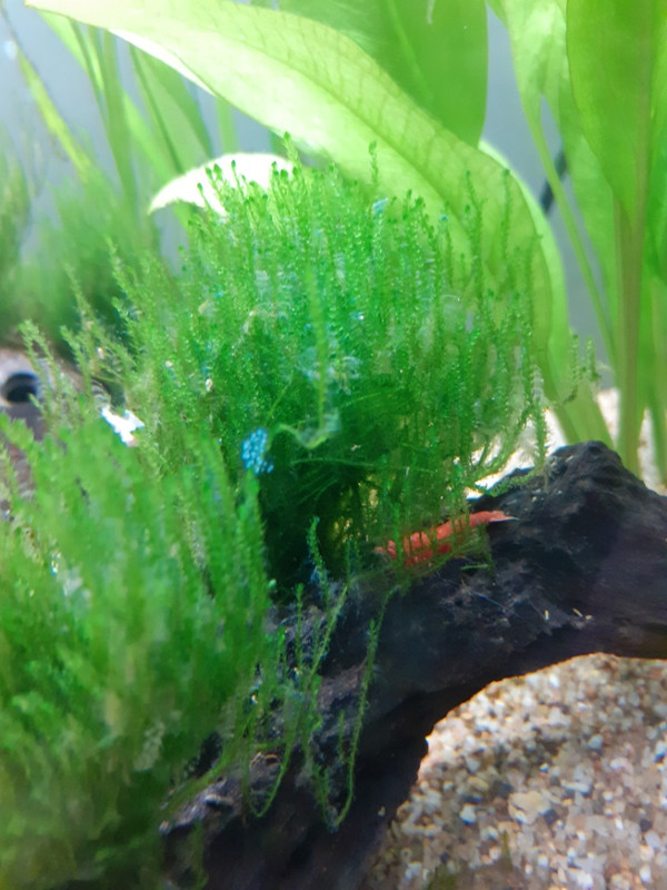 Resized_20220502_193912