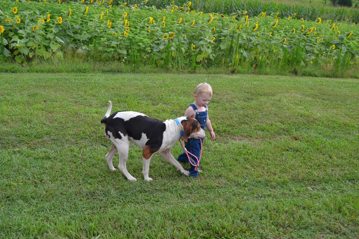 E29BEDED-A09F-4B08-A2EE-888EA5EB7811