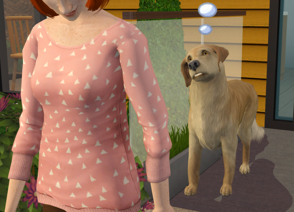 Sims2-EP9-RPC-2022-02-06-14-17-01-64