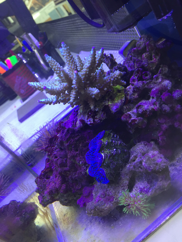 B2C737A1-BF33-4EDD-9F68-57982F0101B3