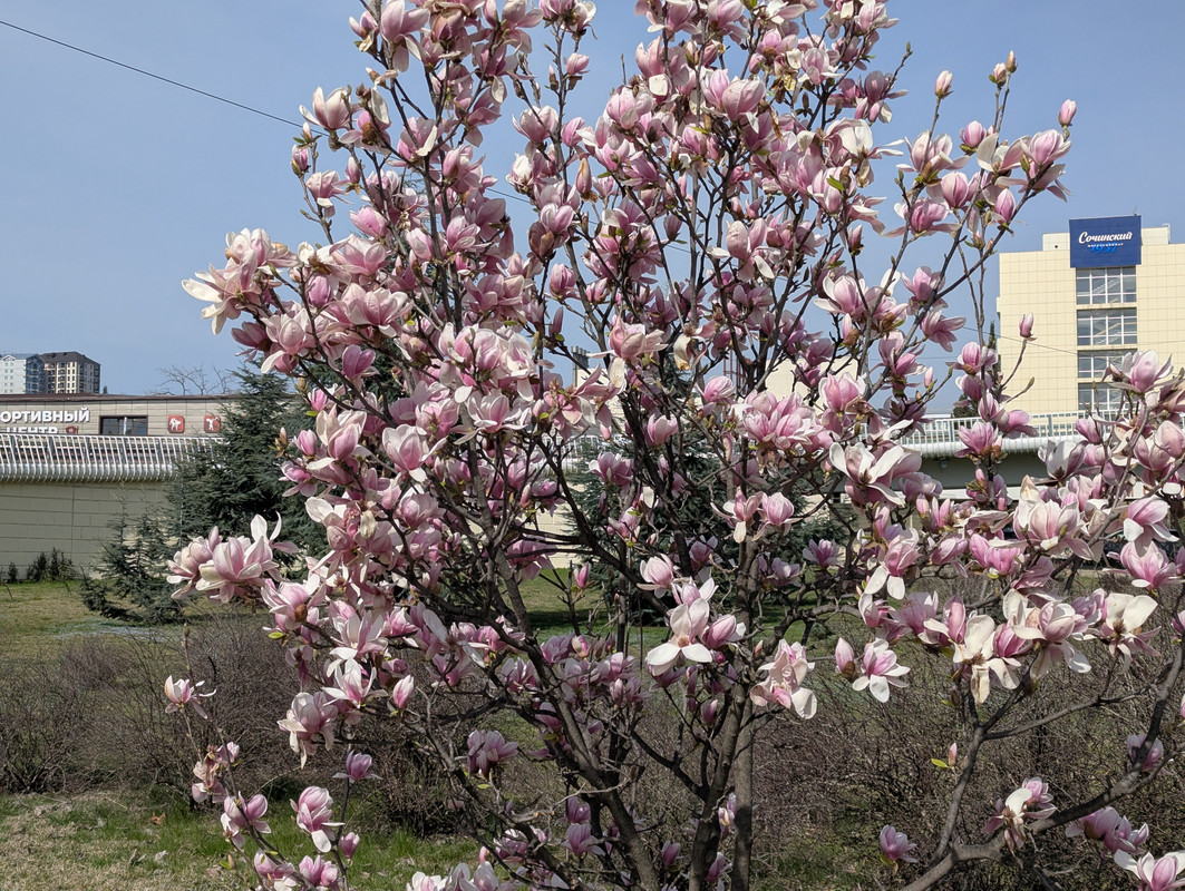 PXL_20250315_082557102.MP