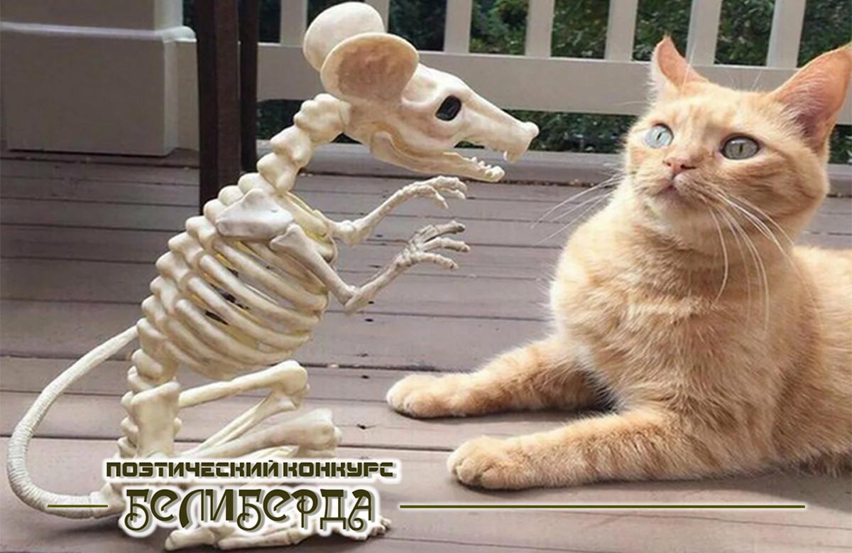 доми шоу кот мурзик и хозяин с озвучкой. кот орет в микрофон. коты с озвучкой 2023. идеальный кот. коты с озвучкой 2023.