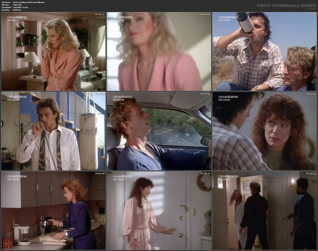 Knots Landing S12E03 God Will.mkv