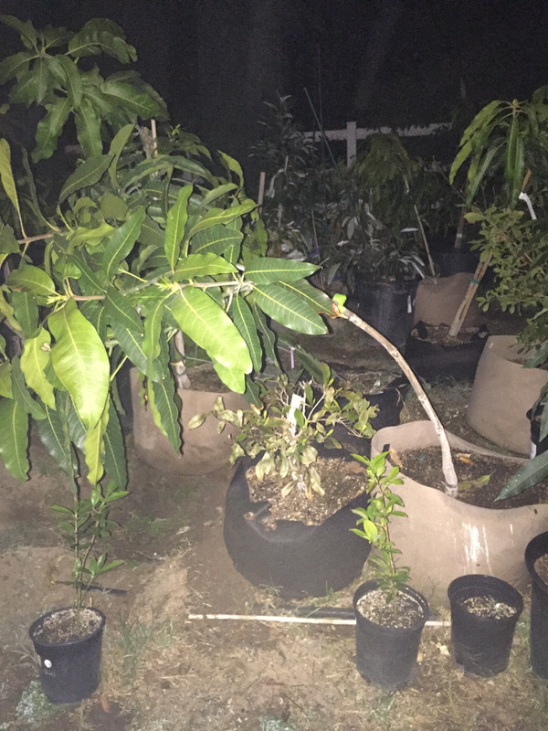 13A91A4A-C1D3-451B-A594-E520B90957C2